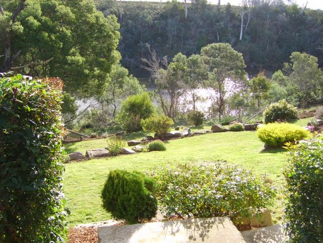 Backyard and river