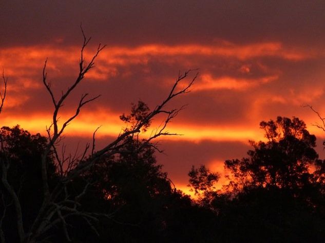 Sunsetting from the balcony
