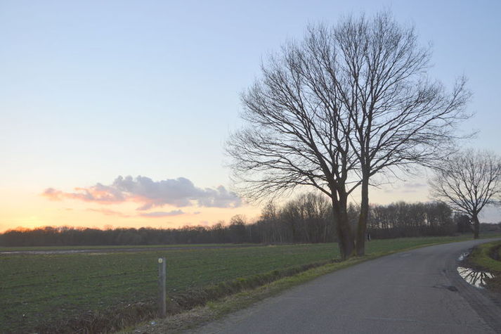 AreaSummer5KM