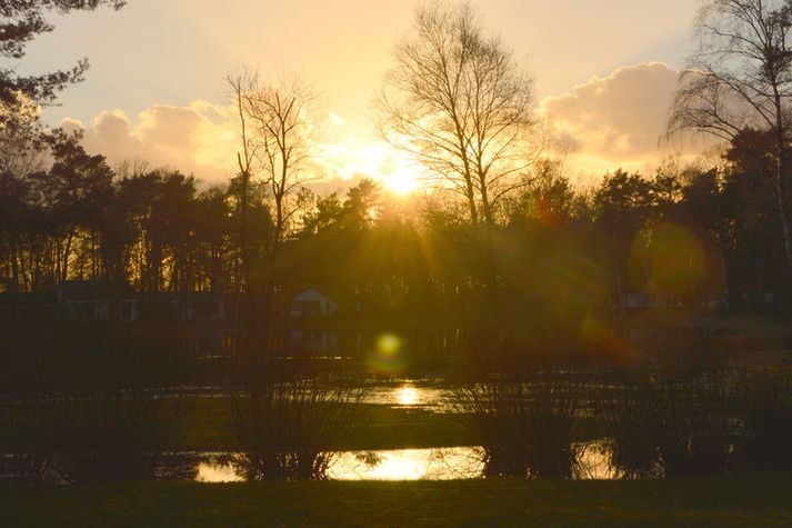ViewSummer