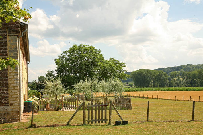GardenSummer