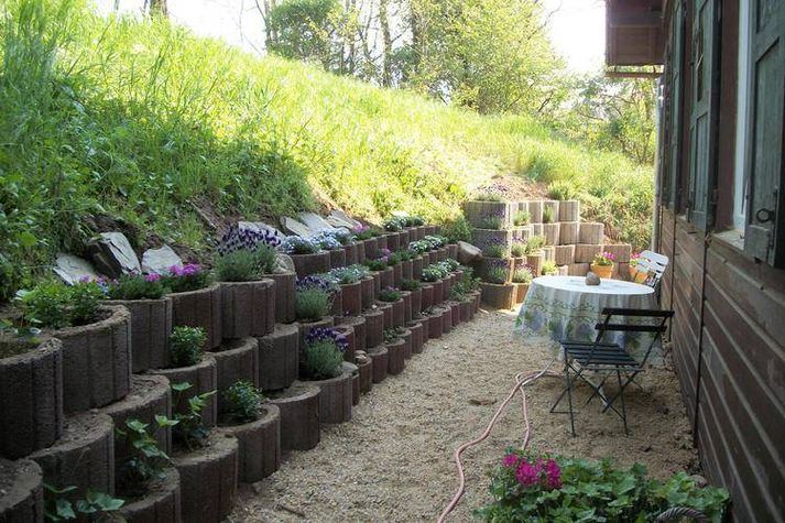 GardenSummer