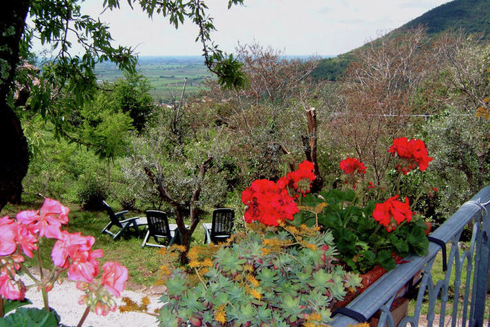 GardenSummer