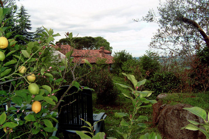 GardenSummer