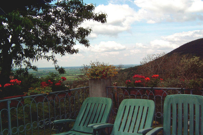 ViewSummer