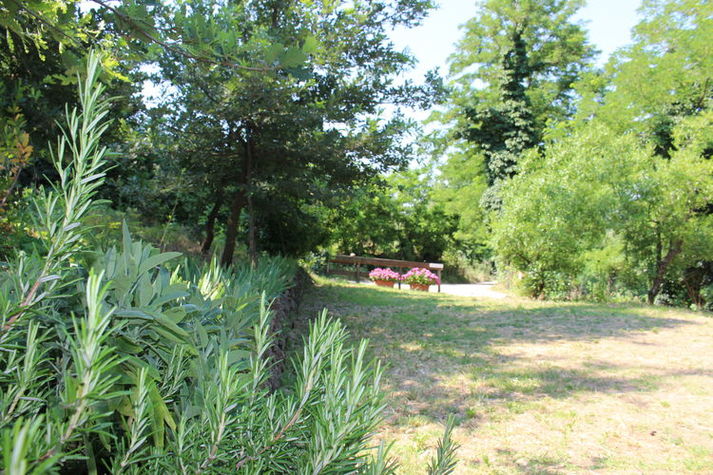 GardenSummer