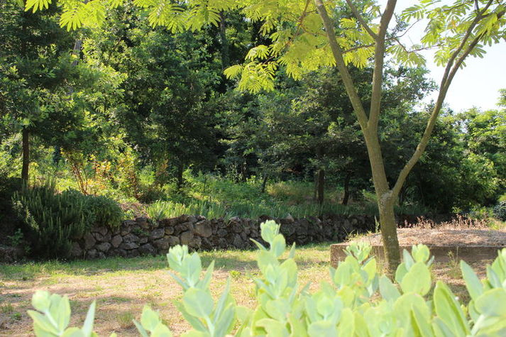 GardenSummer