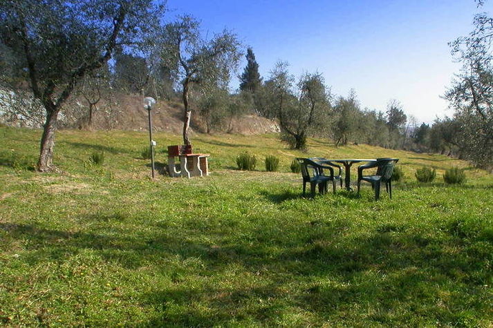 GardenSummer