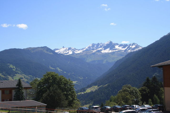 ViewSummer