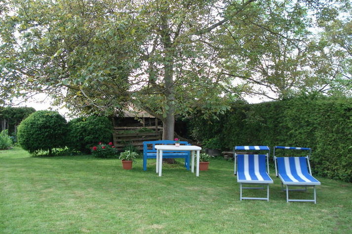 GardenSummer