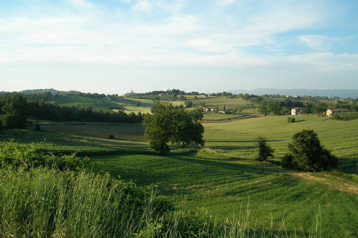 AreaSummer1KM