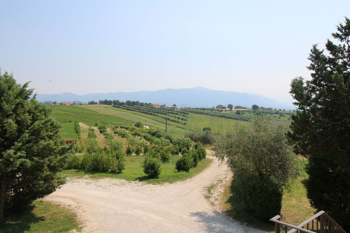 ViewSummer