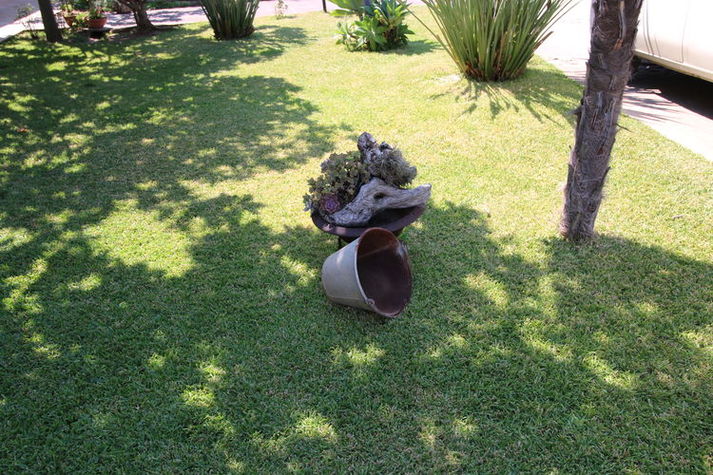 GardenSummer
