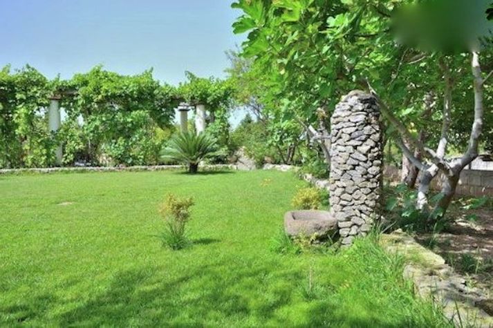 GardenSummer