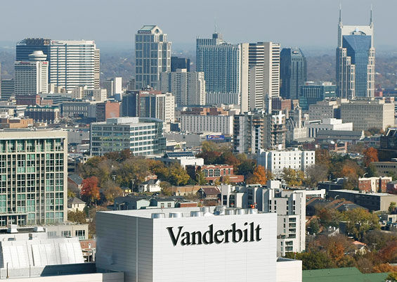 Nashville Stay Alfred
Nashville Stay Alfred