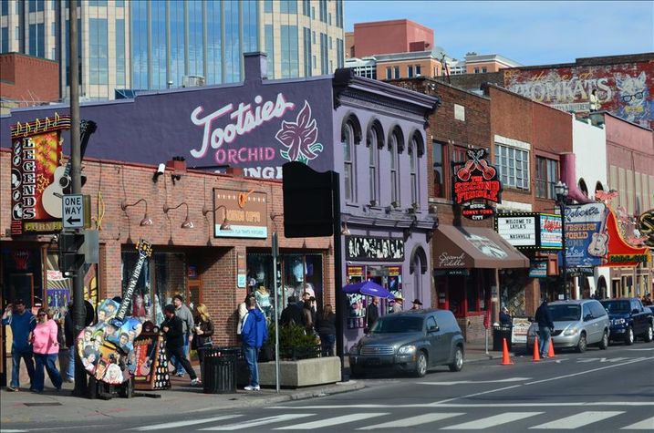 Nashville Stay Alfred
Nashville Stay Alfred