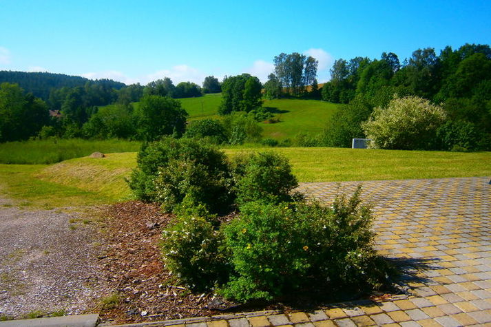 GardenSummer