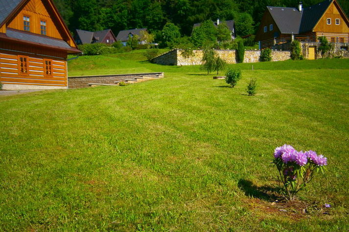 GardenSummer