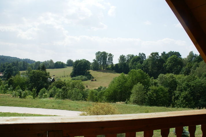 ViewSummer