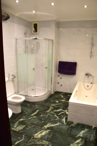 bathroom 2 - ground floor