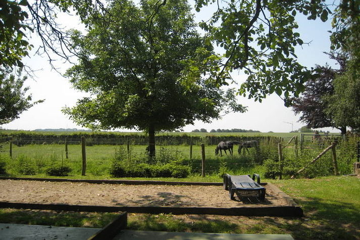 GardenSummer