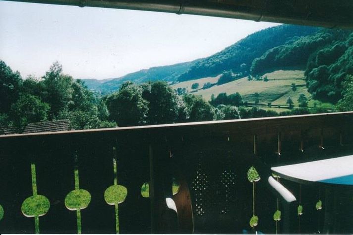 ViewSummer