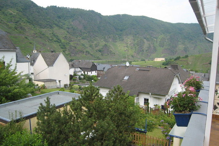 ViewSummer