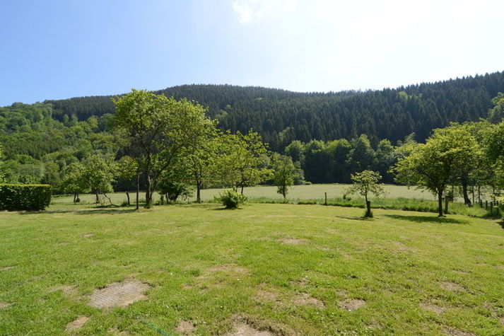 GardenSummer