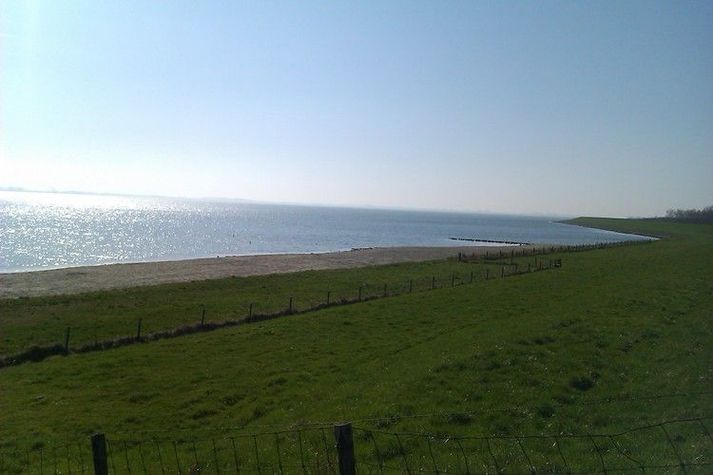 AreaSummer1KM