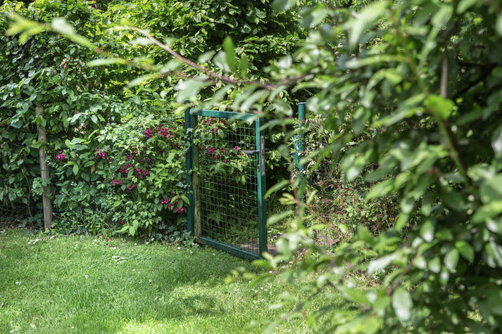GardenSummer