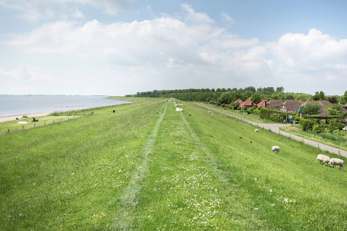 AreaSummer1KM