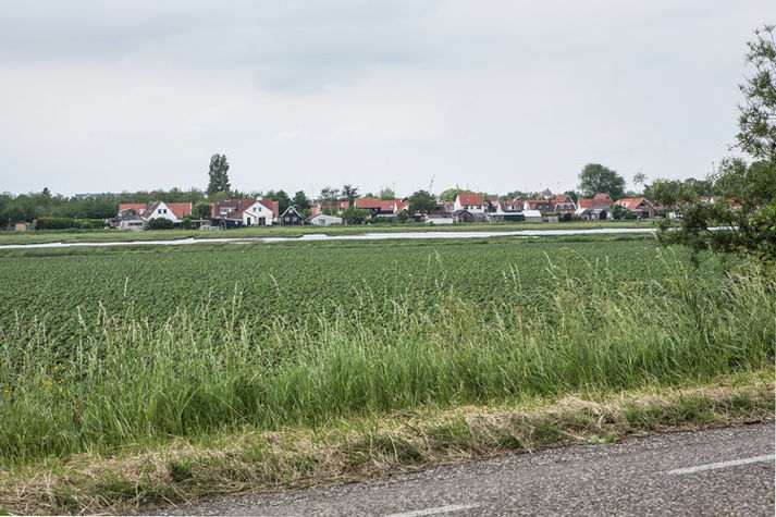 AreaSummer20KM