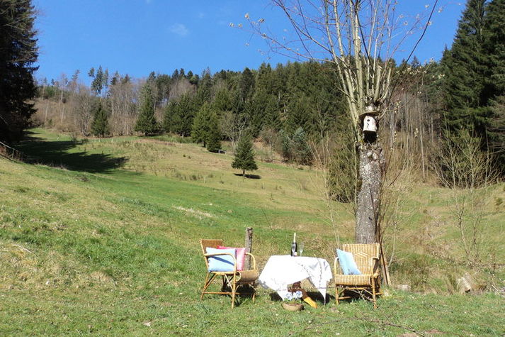 GardenSummer