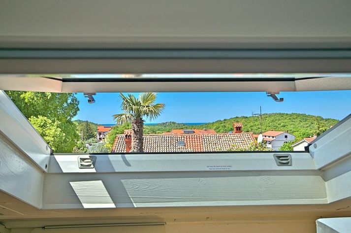 ViewSummer