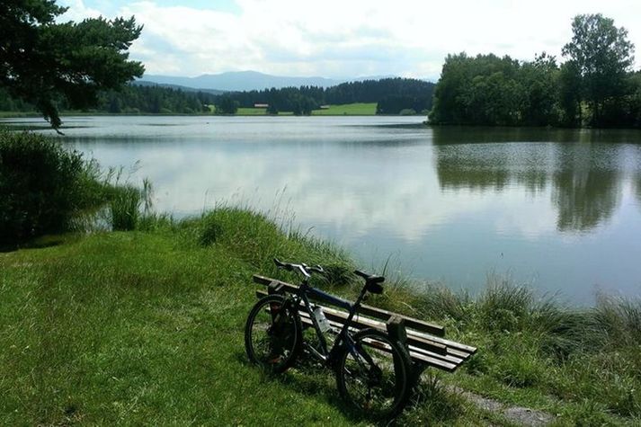 AreaSummer20KM