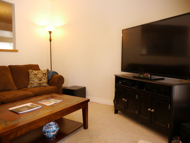 Large TV + sound system common space (great for movies).