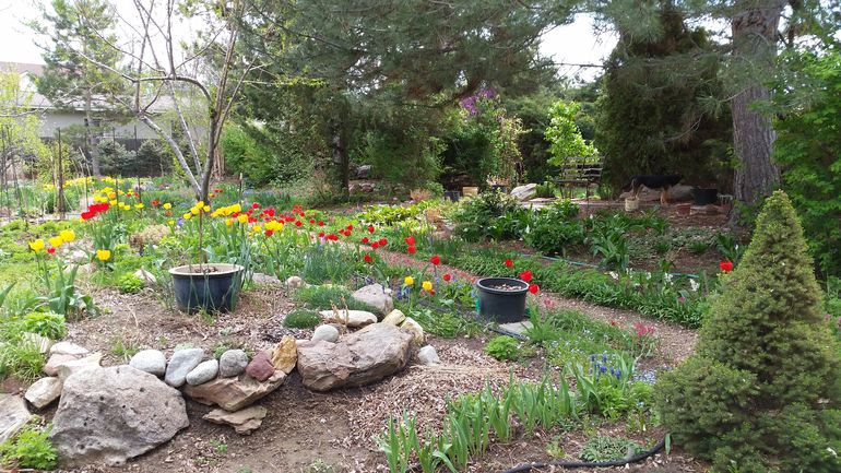 Very large garden and backyard.