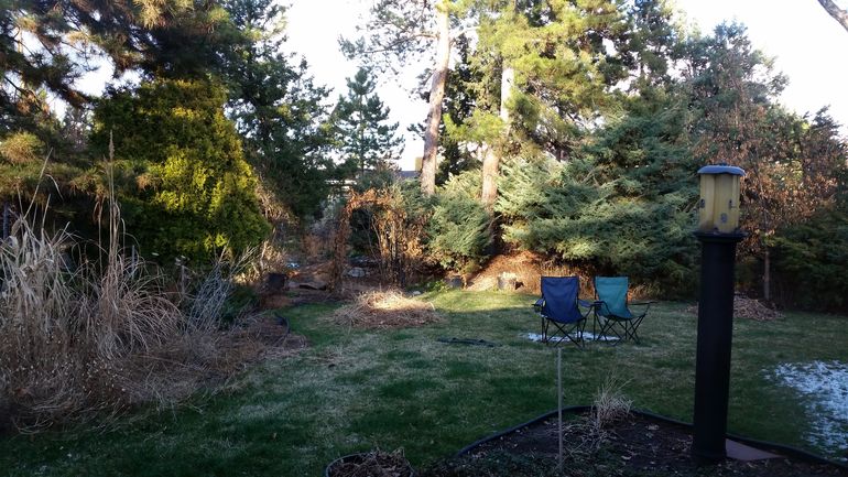 Grassy area of backyard.
