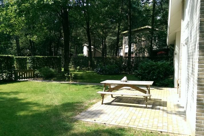 GardenSummer