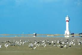 Faune in the lighthouse
Faune in the lighthouse