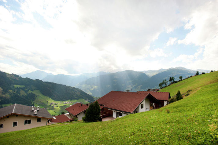 ViewSummer