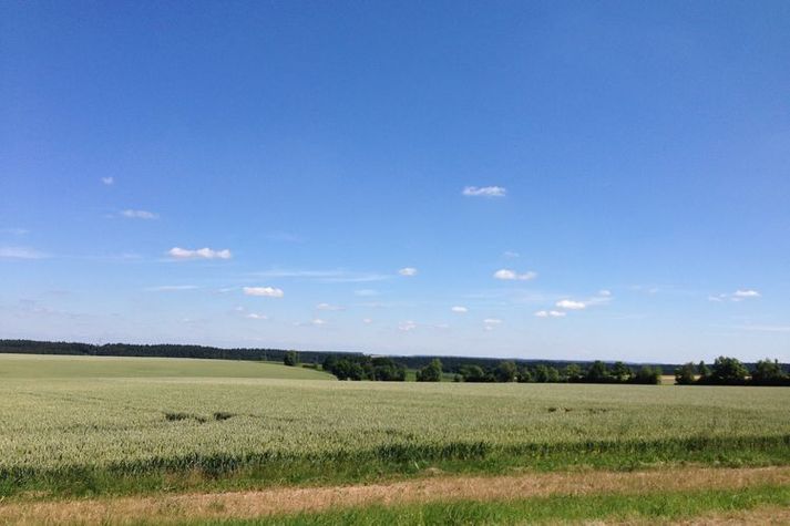 AreaSummer20KM