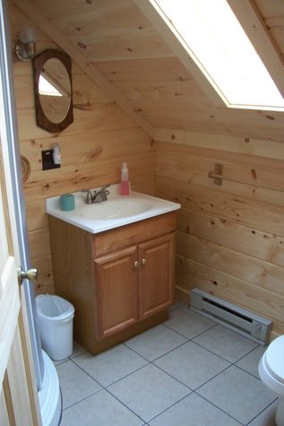 Upstairs bath shower/sink/toilet