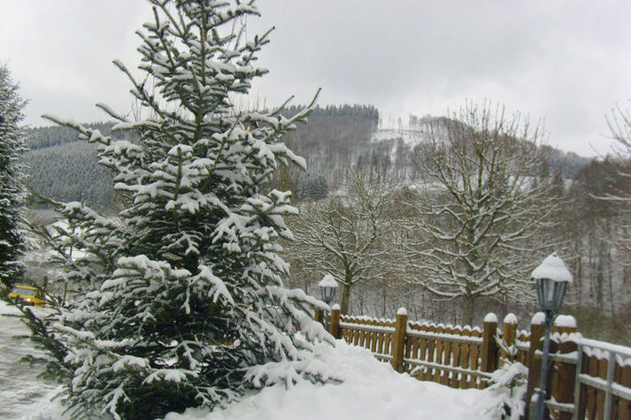 ViewWinter