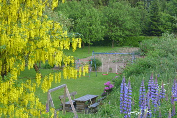 GardenSummer