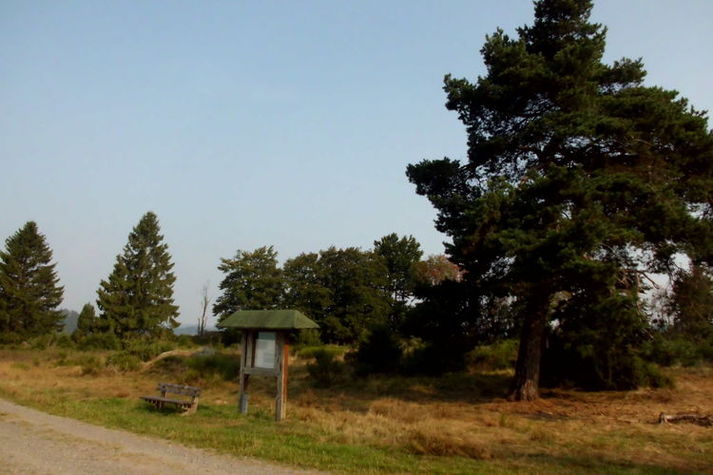 AreaSummer1KM