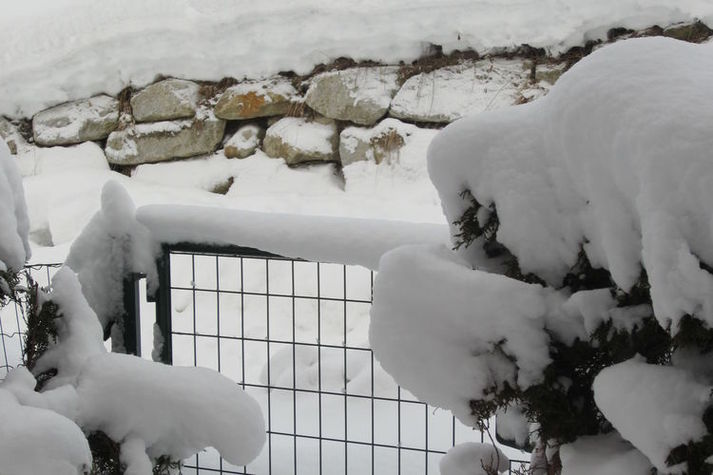 GardenWinter