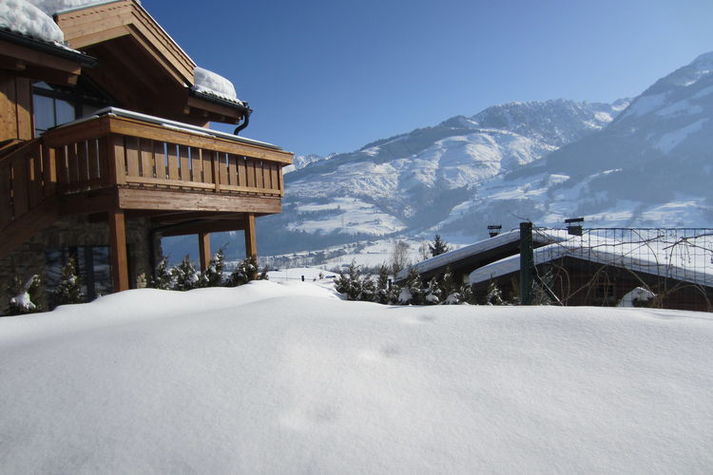 GardenWinter