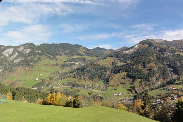 ViewSummer