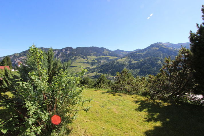 ViewSummer